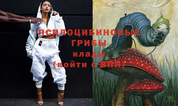 спиды Краснослободск